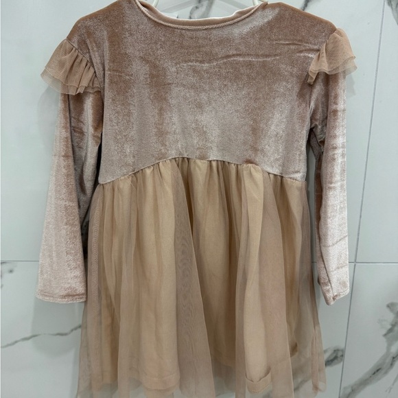 Zara Girls Velvet Tull Dress in Light Pink - Picture 1 of 5